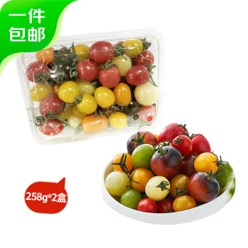 京百味 福建紫弹头圣女果 3斤装 新鲜铁皮小番茄 源头直发 紫弹头圣女果 3斤 装