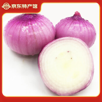 静益乐源 新鲜云南洋葱  净重5斤单果150g+