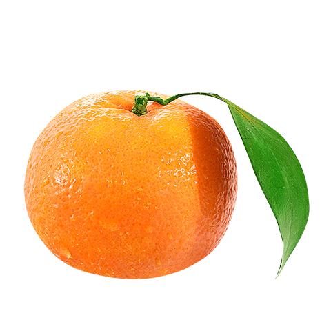 plus会员：京鲜生 云南高山沃柑 净重5斤 单果120g起 源头直发包邮 12.75元（需领券）