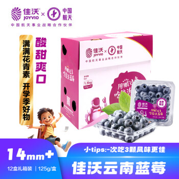 佳沃 云南蓝莓14mm+ 12盒装 约125g/盒