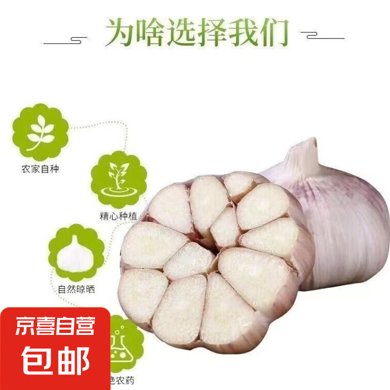 山东大蒜干蒜新鲜白皮精品大蒜 大蒜15-17头 1斤 中果4-4.5厘米 3.4元包邮