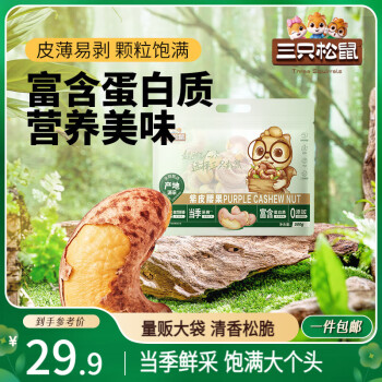 移动端、京东百亿补贴:三只松鼠 紫皮腰果500g/袋 坚果炒货干果休闲零食送礼一斤装混发