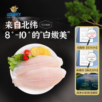 中洋鱼天下 ZHONGYANG GLOBAL FISH 巴沙鱼柳 600g