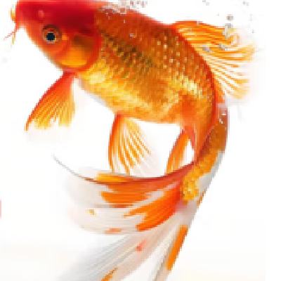 冷水观赏鱼 1-3厘米送小包鱼粮 混搭精品红草金30条+6条备损 4.78元