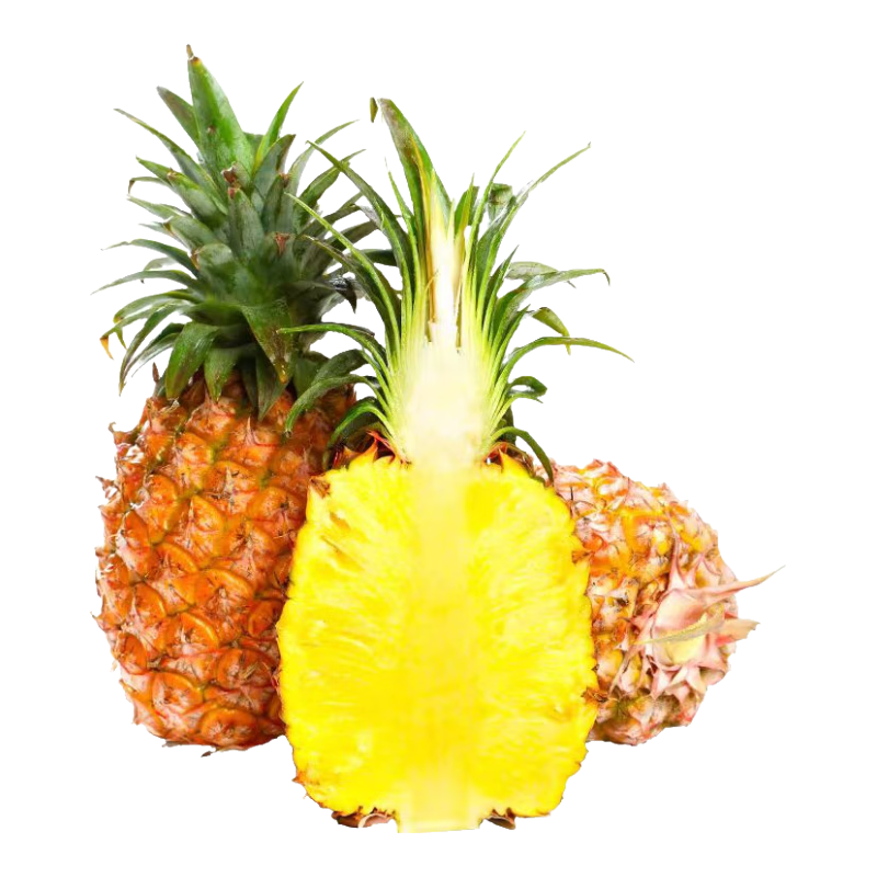 虔园正宗海南金钻凤梨 当季新鲜手撕爆甜水果 产地直发 中果凤梨 9.95元(需试用)