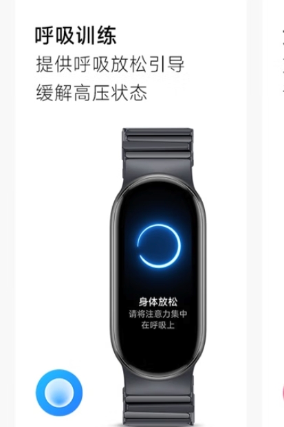 小米 Xiaomi 手环9 标准版 智能手环 黑色 203.15元