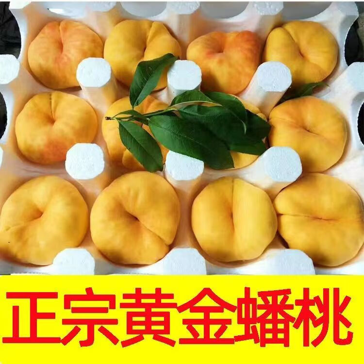 特大果 山东蒙阴 黄金毛蟠桃 2.5斤 4-7个 20.38元（需买2件，需用券）
