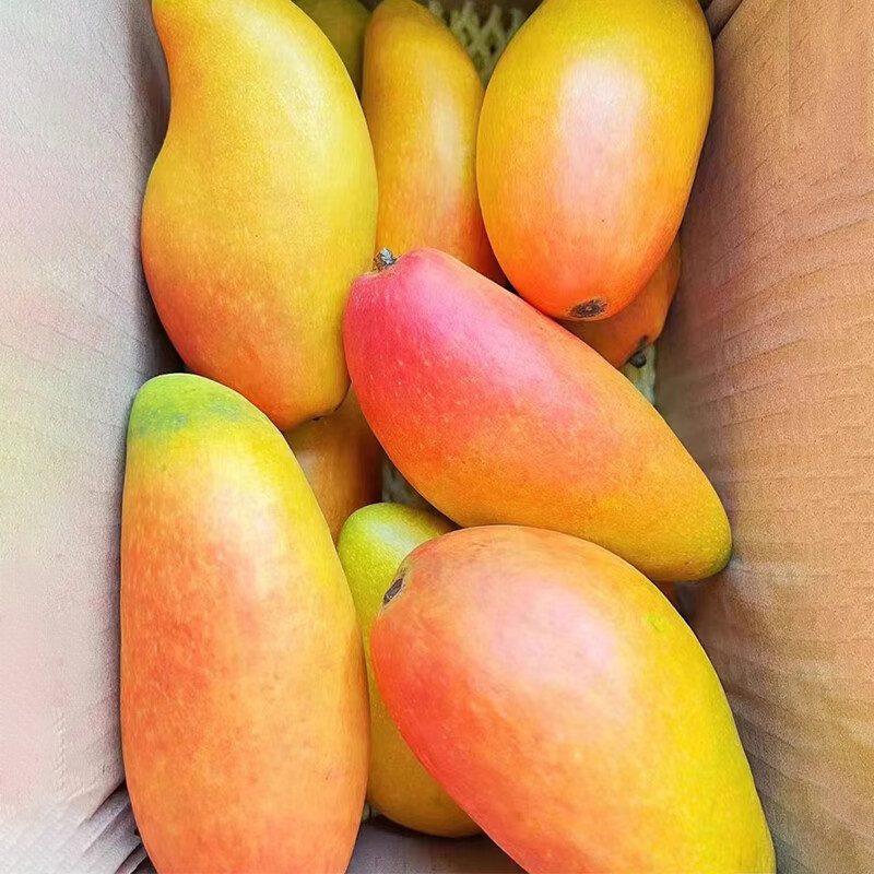 微信小程序:鲜宝道 广西贵妃芒果5斤 大果 单果150g+ 8.9元