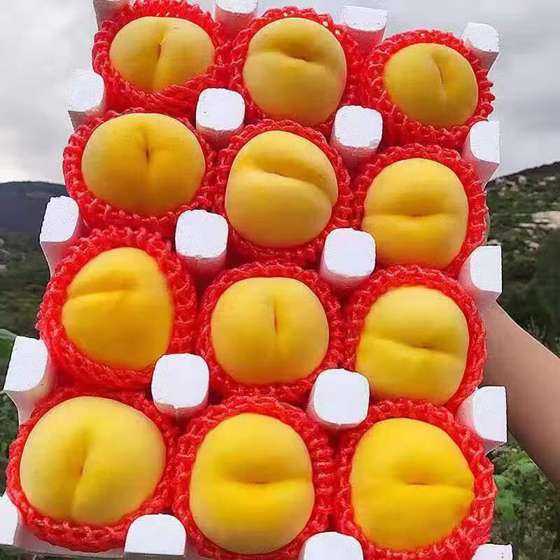 萧鲜生精选大黄桃黄金蜜桃（拍2件合并一箱发货）当季水果生鲜毛桃子 精选黄桃 净重2.25-2.5斤（6-9个） -33.8元（合16.9元/件）