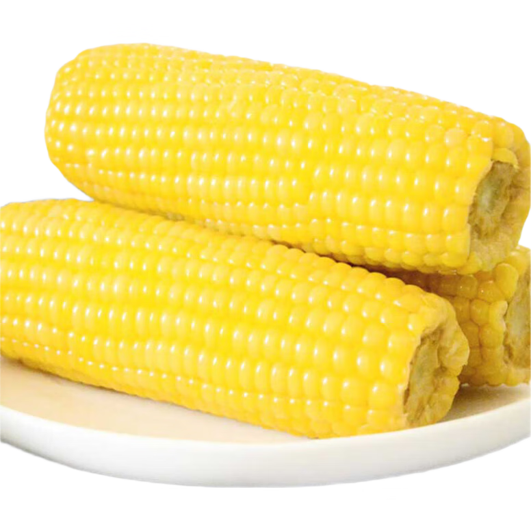 6月24日0点:京鲜生东北黄糯玉米棒200g×8根  11.9元（需领券）