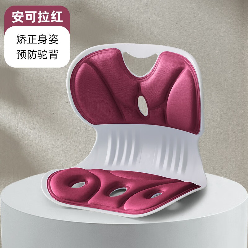 人体工学护腰坐垫 儿童款/成人款 券后24.9元