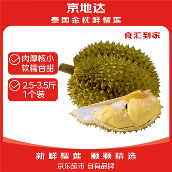 京地达 泰国金枕头榴莲 净重2.5-3.5斤 1个装 鲜果 生鲜水果源头直发