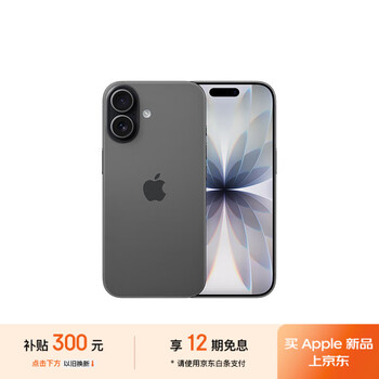 Apple/苹果 iPhone 17 手机 双卡双待 黑色 512G