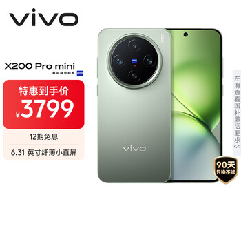 vivo X200 Pro mini 手机 6.31英寸纤薄小直屏 钛青 12+256G