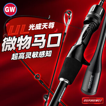 光威（GW）鱼竿1.68米枪柄天尊马口路亚竿UL调软调微物路亚杆钓鱼竿渔具