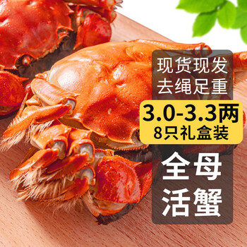 首单礼金：乾澄大闸蟹现货 精选全母蟹3.0-3.3两 8只