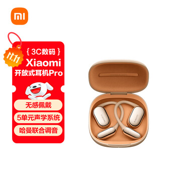移动端、京东百亿补贴:小米 Xiaomi 开放式耳机Pro 钛光金