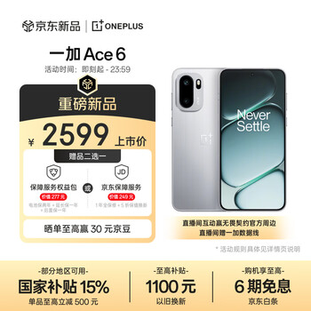 一加 Ace 6 手机 12GB+256GB