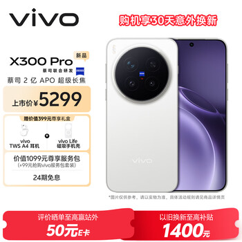 vivo X300 Pro 手机 12+256G