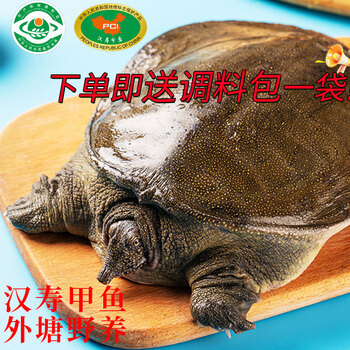 芮宝农场【活鲜】汉寿甲鱼鲜活净重2斤/只鳖团鱼生鲜放生生鲜源头直发包邮