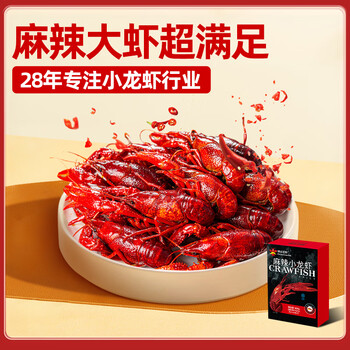 DeYAN德炎麻辣小龙虾900g(净虾450g4-6钱/只)整虾烧烤夜宵加热即食