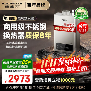 史密斯（A.O.SMITH） 16升精钢燃气热水器 国家补贴 不锈钢换热器包8年 负压燃烧更安全 精控恒温 家用天然气JSQ31-TM5