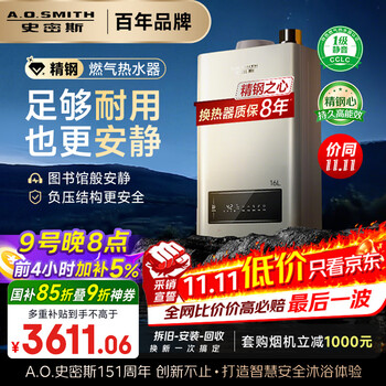 史密斯（A.O.SMITH）16升精钢燃气热水器 国家补贴 1级静音 恒温大水量 抗风防冻 JSQ31-TEW 更安全更安静 以旧换新