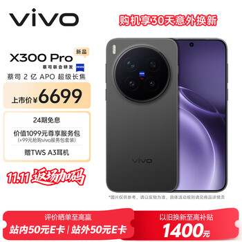 vivo X300 Pro 手机 蔡司2亿APO超级长焦 纯粹黑 16+1T