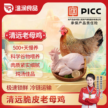 温润食品液氮清远脆皮老母鸡2.4斤 500天以上生态散养原种清远老母鸡 土鸡