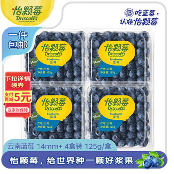 怡颗莓 云南蓝莓14mm+ 4盒装 约125g/盒 新鲜水果 源头直发