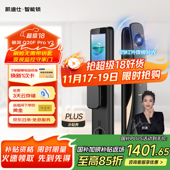 凯迪仕(kaadas)智能门锁 可视猫眼大屏指纹锁人脸全自动 智能锁 银河Q20F Pro V2